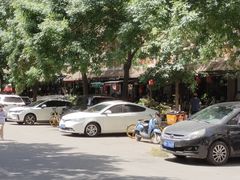 -宝鸡东道花鸟鱼虫市场(吉利花园商场店)