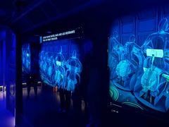 -奥兰多迪士尼动物王国乐园