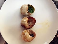 -金蜗牛