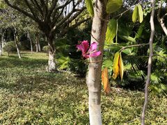 -火炉山森林公园