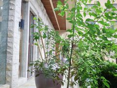 -三清山希尔顿度假酒店