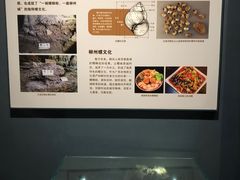 -柳州白莲洞洞穴科学博物馆