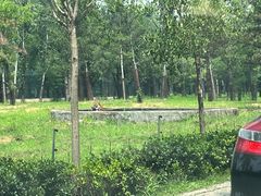 -秦皇岛野生动物园