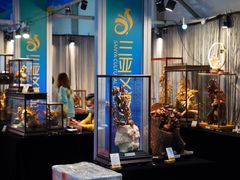 -三亚湾红树林国际会展中心(演出售票)