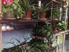 -77号渔船·蒸海鲜青岛菜(积米崖店)