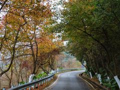 -广州市石门国家森林公园