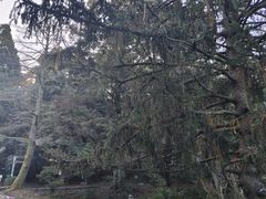 -庐山风景区花径公园