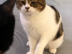 -小时光咖啡馆(开森度假森林店)