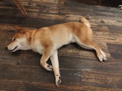 -三目仓咖啡(贤南路店)
