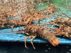 -阿伟海鲜楼·福建菜(延寿店)