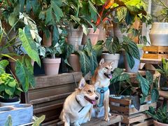 -自由生长植物工作室(深港花卉中心店)