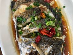 -洲晓鲜·舟山海鲜大排档(朱家尖风景区店)