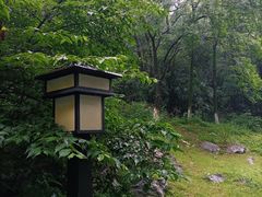 -习家池