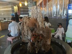 -都江堰石锅鱼