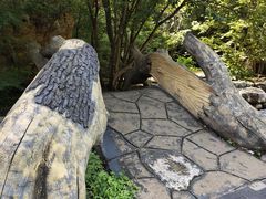 -十渡东湖港风景区