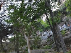 -崂山仰口游览区