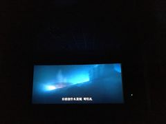 -AMG海上明珠影城(上海环球港RealDCinema店)