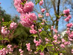 -元大都城垣遗址公园