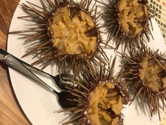 -海胆小馆(东北水饺·春柳店)