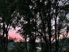 -西湖风景区-江洋畈生态公园