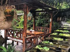 -青城甲(青城山店)