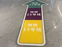 -望京西(地铁站)