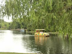 -上海共青森林公园