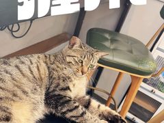 -转山咖啡(松柏社区店)