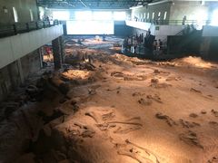 -自贡恐龙博物馆