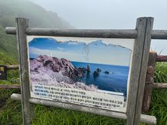 -涉地可支