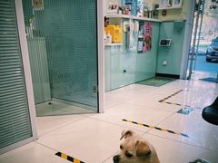 -悦宠凯宝动物医院·牙科·皮肤科(朝阳北路店)