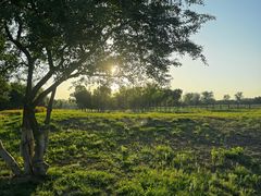 -汉长安城未央宫国家考古遗址公园