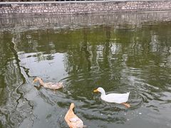 -迎泽公园