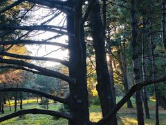 -国家植物园南园