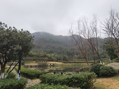 -桃花岭景区