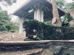 -海口观澜湖火山温泉谷