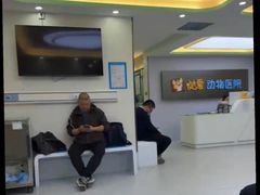 -达爱动物医院·犬猫分区·CT·复杂眼科(远洋山水分院)