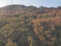-紫金山索道-售票处