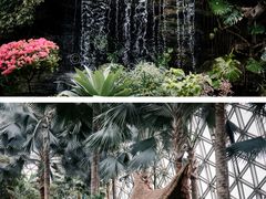 -上海辰山植物园