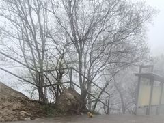 -紫金山索道-售票处