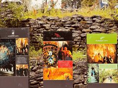 -怀托摩萤火虫洞