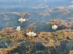 -丽江泸沽湖景区