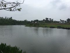 -瑶湖郊野森林公园