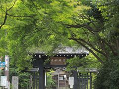 -常寂光寺