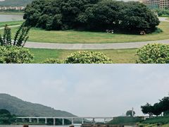 -风云岭森林公园