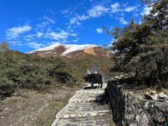 -墨石公园景区