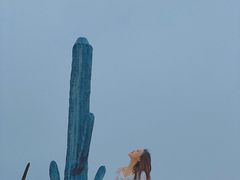 -西海岸生态观光园