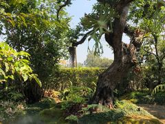 -Chom Cafe and Restaurant