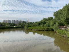 -大亚湾红树林城市湿地公园