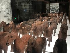 -汉景帝阳陵博物院